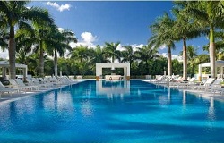 Coconut Grove FL Condo Photo of Condo in Coconut Grove Florida