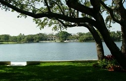 Hammock Lakes Real Estate in Coral Gables, FL Photo of Hammock Lakes Real Estate in Coral Gables, FL