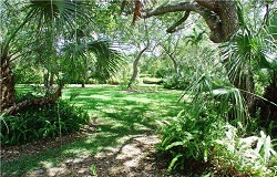 Vacant land/lot in Pinecrest FL Photo of vacant land/lot in Pinecrest Florida