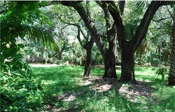 Vacant land/lot in High Pines South Miami FL Photo of vacant land/lot in High Pines South Miami Florida