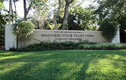Smathers Four Fillies Farm Real Estate in Pinecrest, FL Photo of Smathers Four Fillies Farm Real Estate in Pinecrest, FL