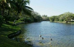 Snapper Creek Lakes Real Estate in Coral Gables, FL Photo of Snapper Creek Lakes Real Estate in Coral Gables, FL