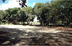 Vacant land/lot in South Miami FL Photo of vacant land/lot in South Miami Florida