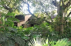 Tree Top Estates Real Estate in Pinecrest, FL Photo of Tree Top Estates Real Estate in Pinecrest, FL